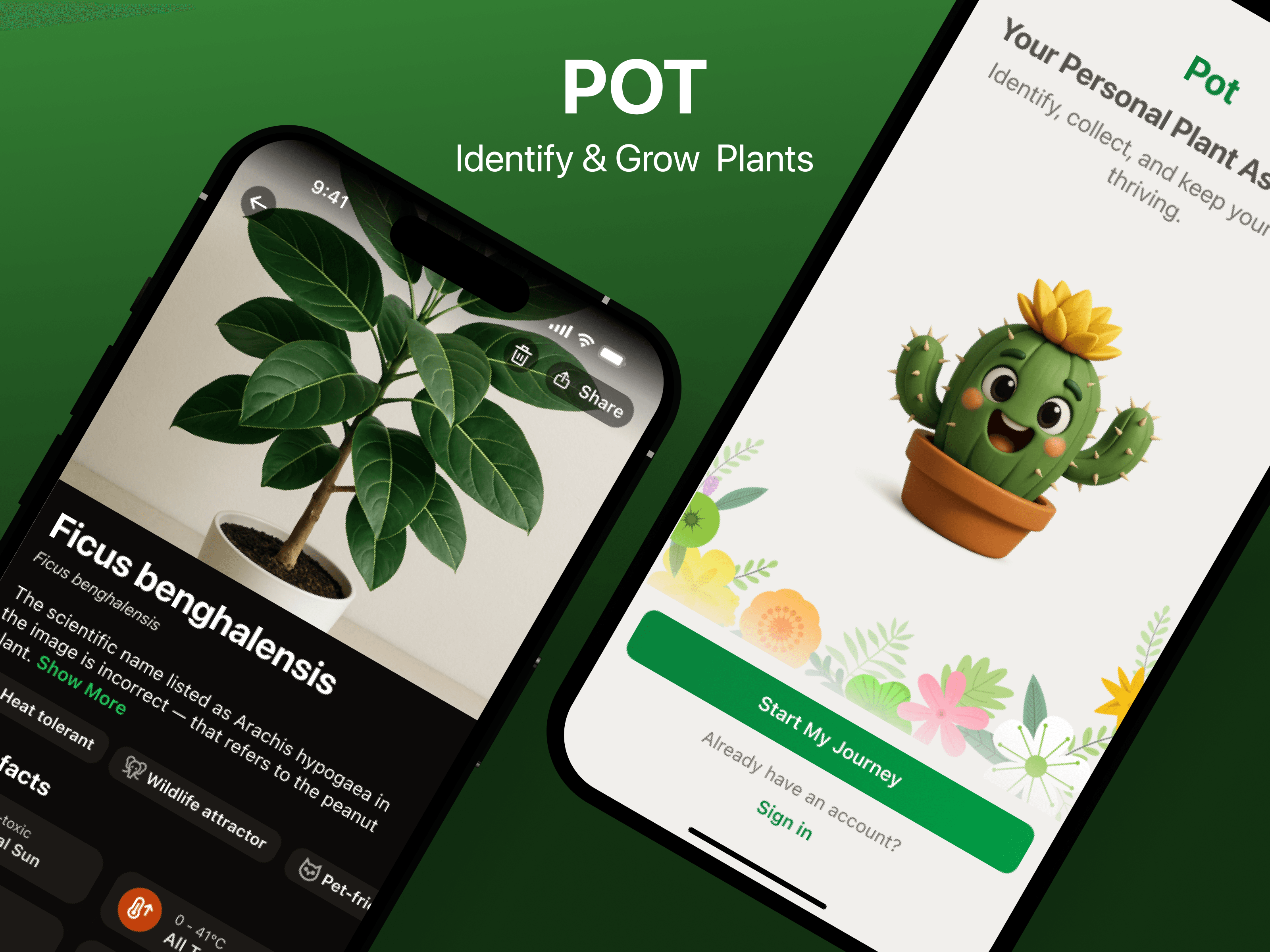 Pot