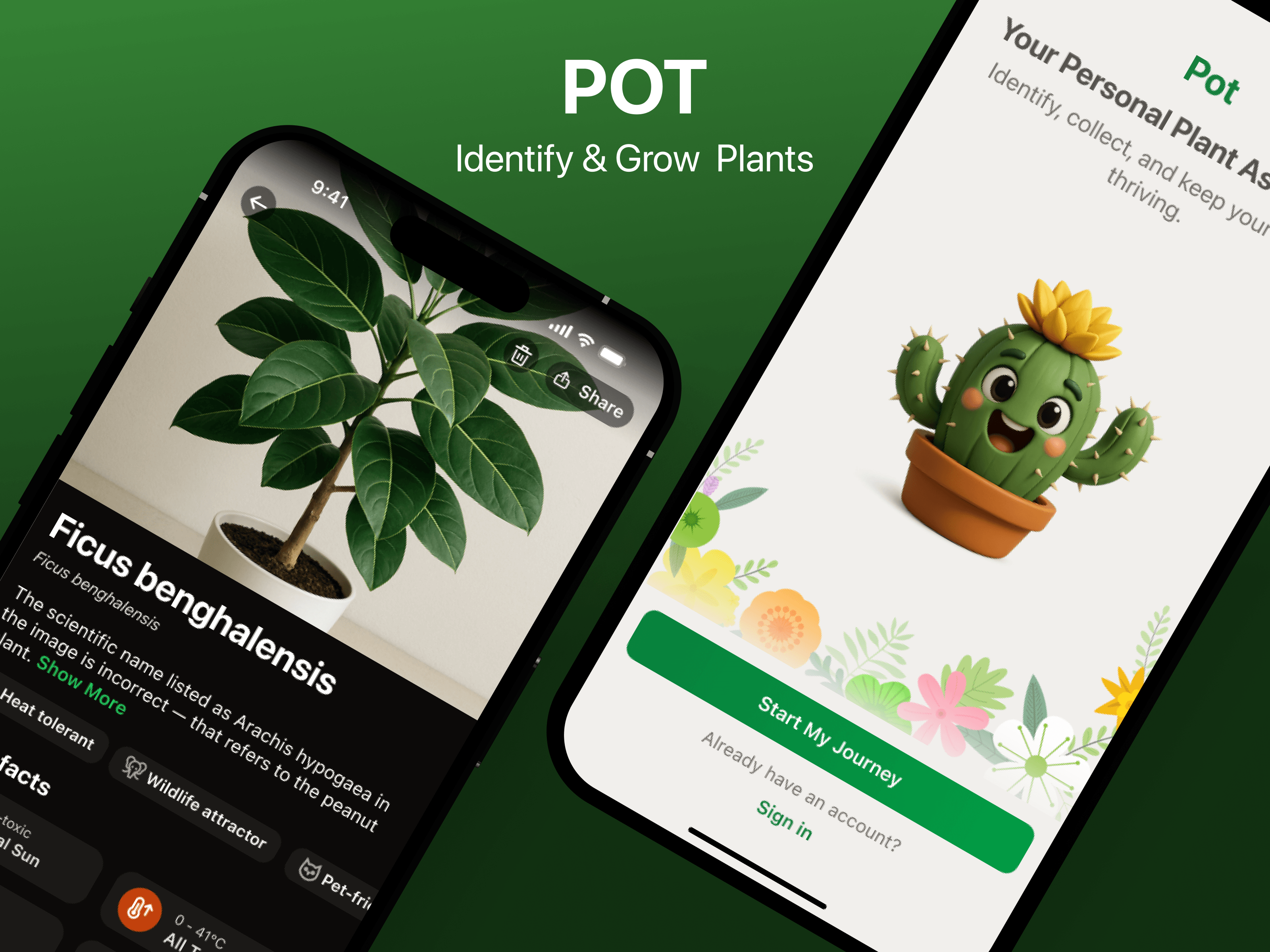 Pot — cover